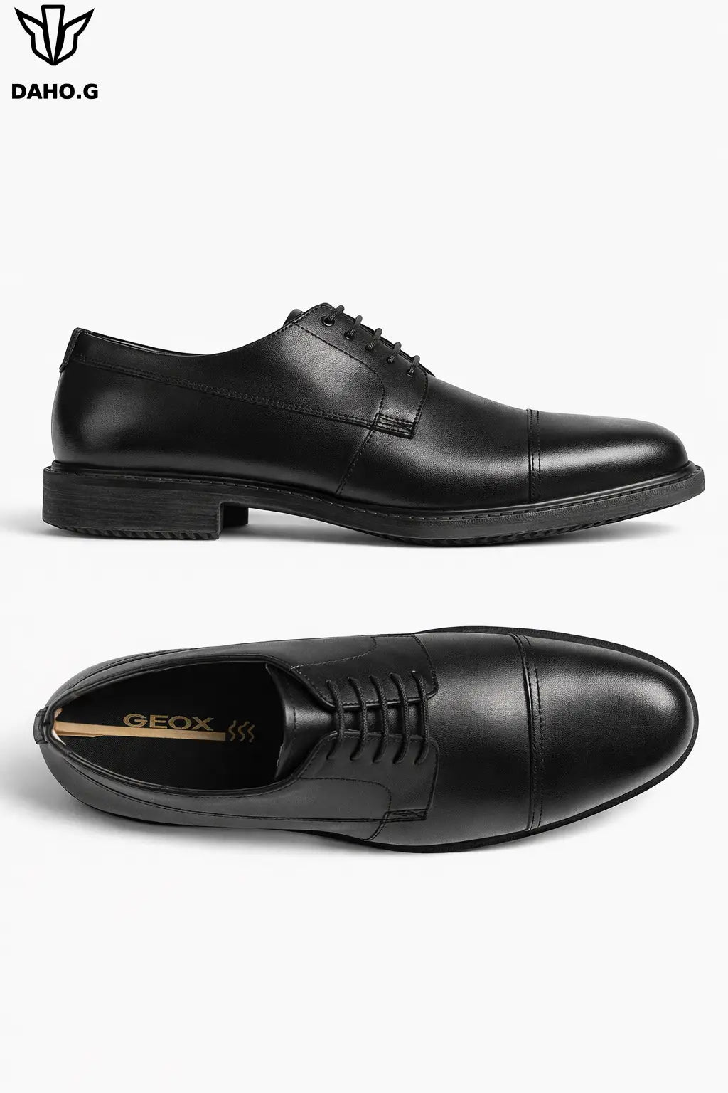 Derby Homme GEOX DAHO.G