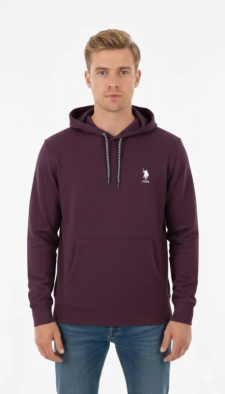 Pull à capuche US POLO DAHO.G
