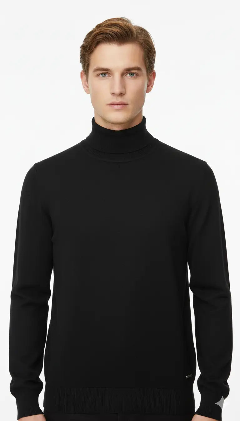 Pull col roulé YVES DORSEY DAHO.G
