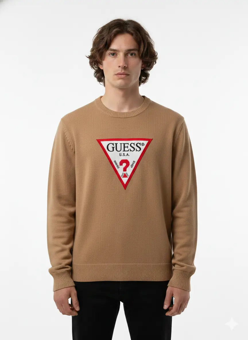 Pull Homme GUESS DAHO.G