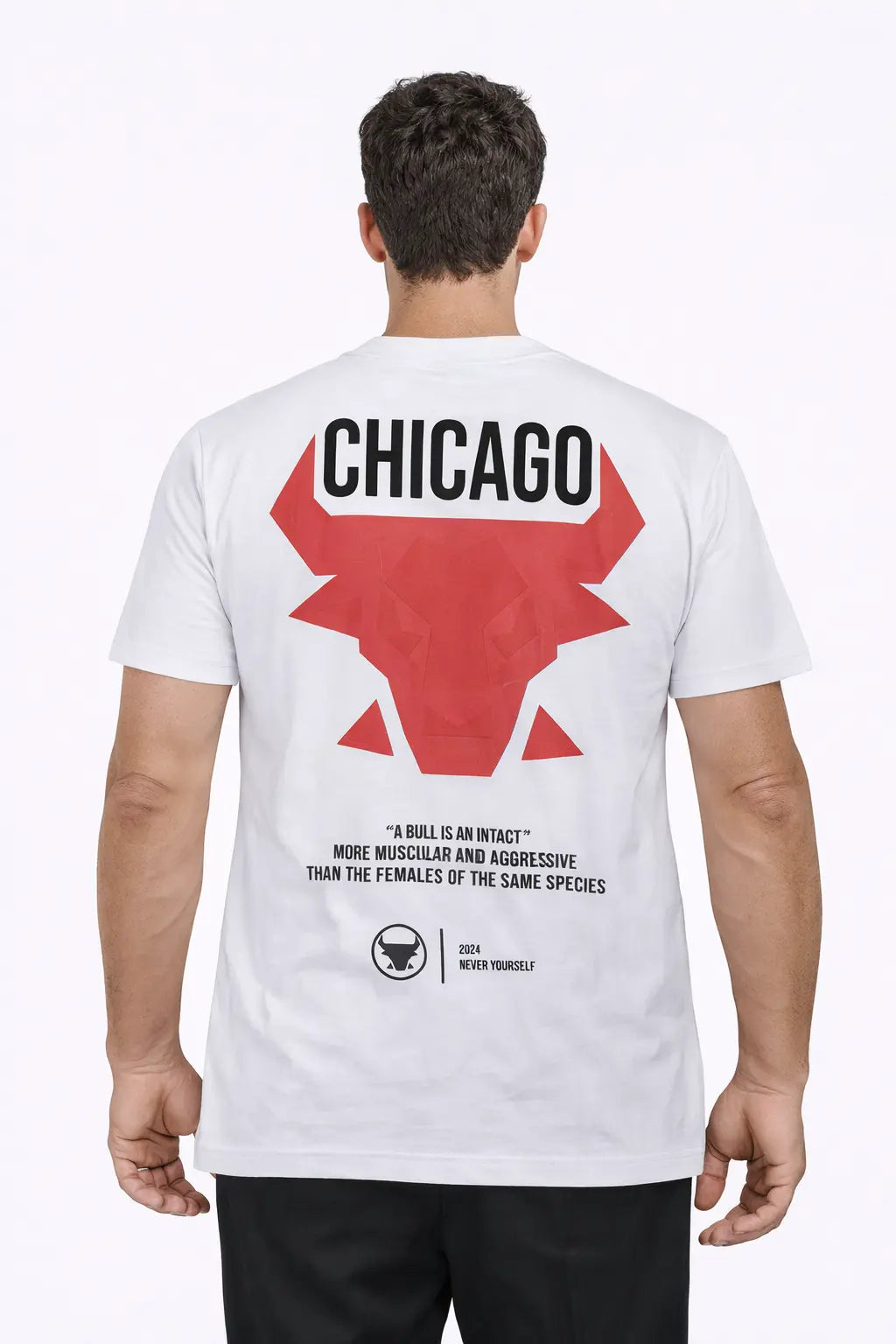 Tee-shirt CHICAGO DAHO.G