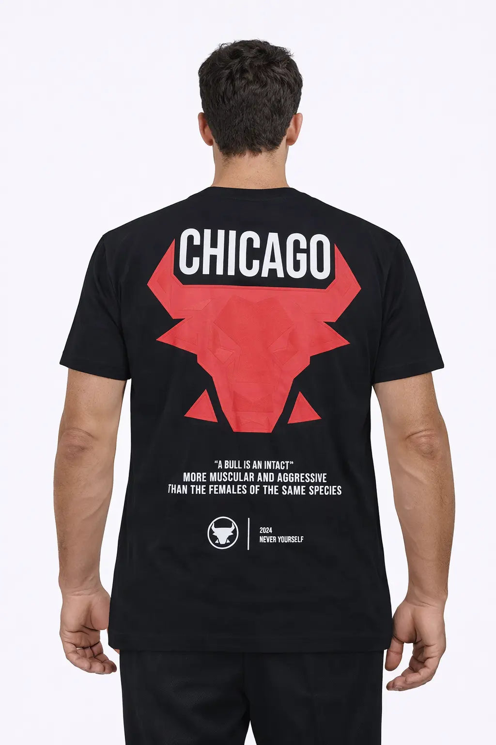 Tee-shirt CHICAGO DAHO.G