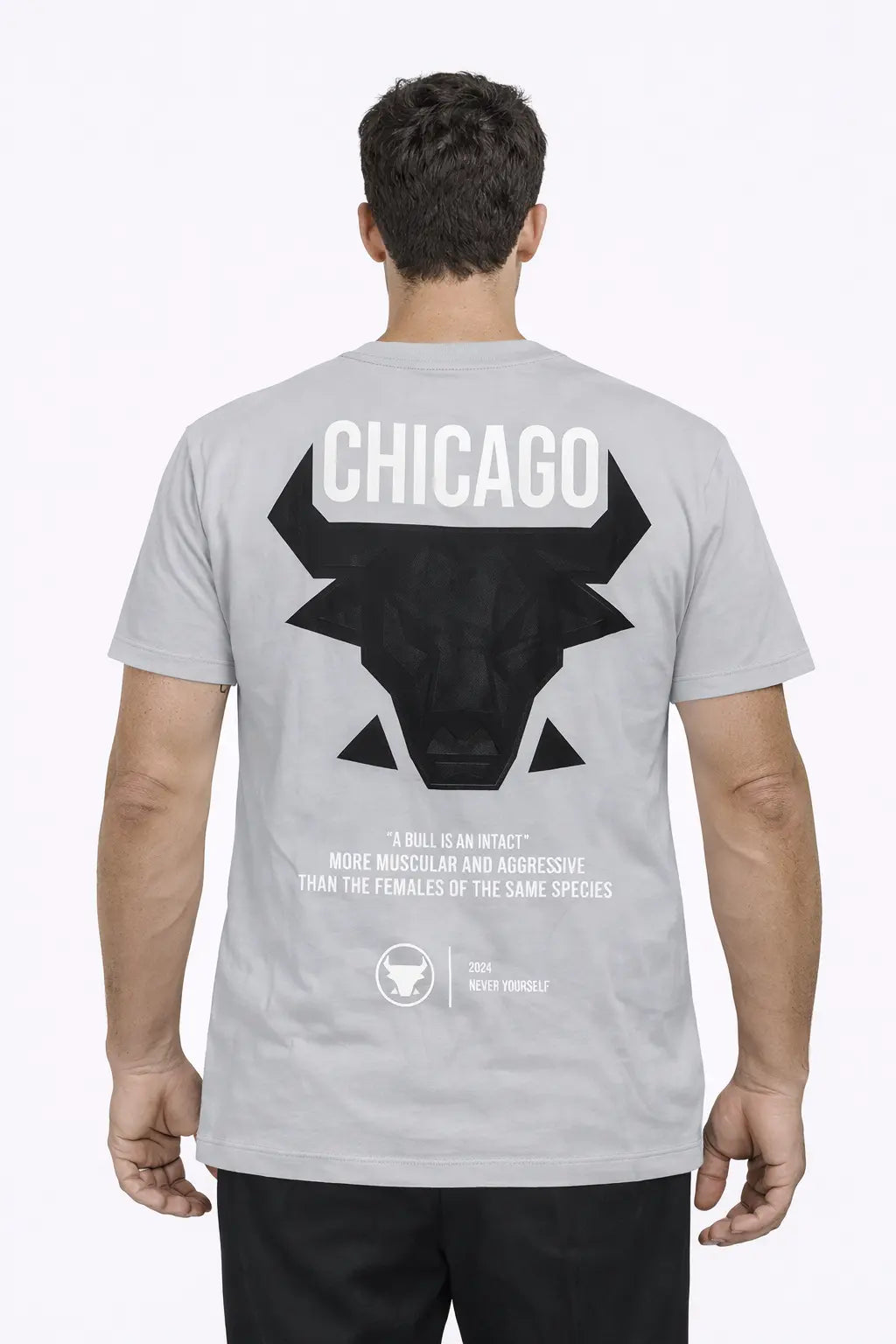 Tee-shirt CHICAGO DAHO.G