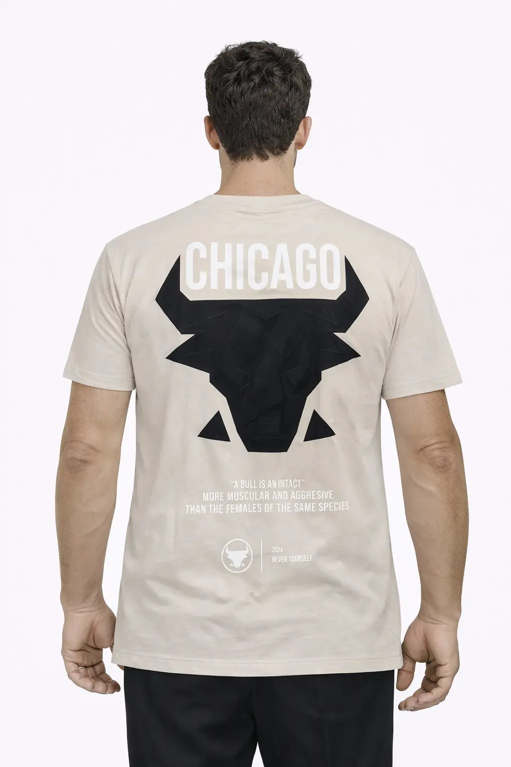 Tee-shirt CHICAGO DAHO.G